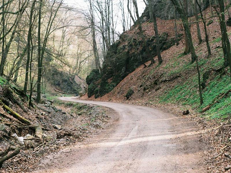 E-commerce Platform Redesign